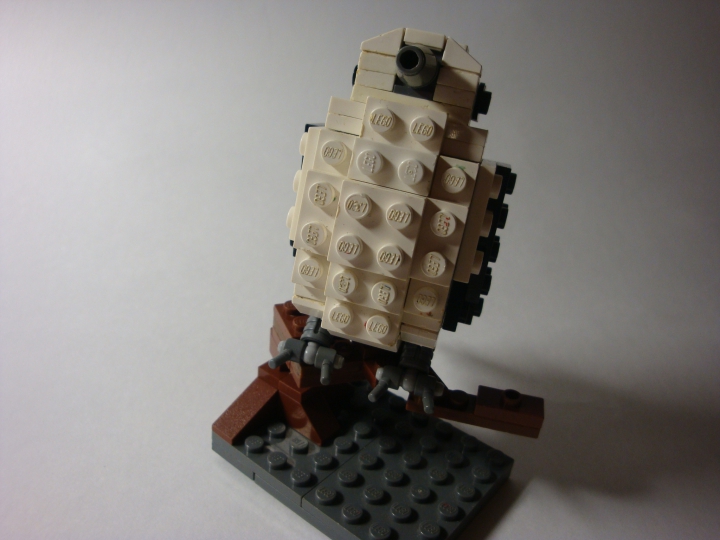 LEGO MOC - 16x16: Animals - Птица, просто птица: Вид спереди, так сказать, пузо.