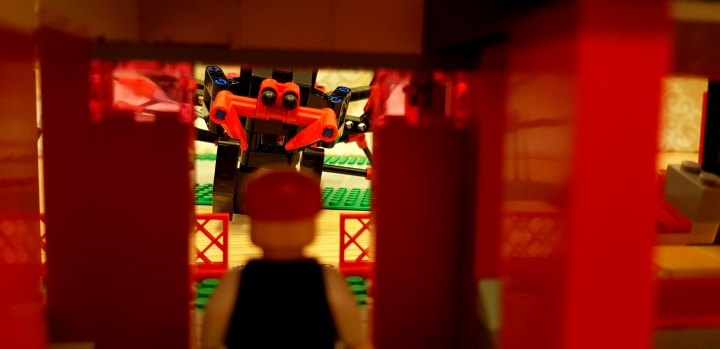 LEGO MOC - Фантастические твари и кто их фантазирует - Акродав 'Чёрная вдова': На пороге: Маглорожденный Иван собирался на прогулку, но не тут-то было...