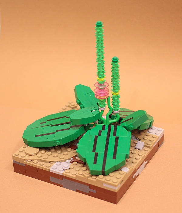 LEGO MOC - 16x16: Ботаника - Подорожник: <br><p align=left></i>Но лишь малая часть знает о том, что магическими свойствами обладает даже изображение подорожника. Достаточно поместить фотографию с пожеланием «не болей!» на страницу сайта и это существенно увеличивает период его стабильной работы. Поэтому я дарю брикеру этот ценный оберег!