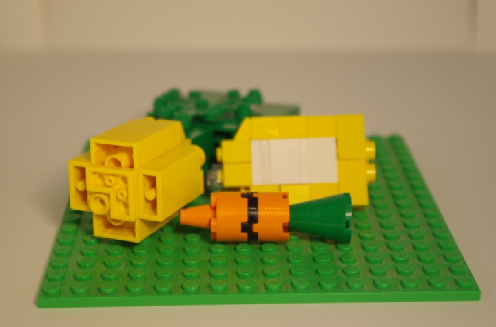 LEGO MOC - 16x16: Ботаника - Овощи на грядке: Передний план.