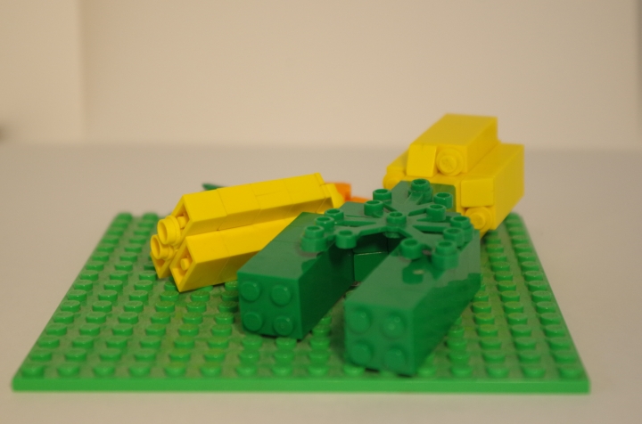 LEGO MOC - 16x16: Ботаника - Овощи на грядке: Вид сзади.