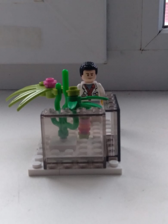 LEGO MOC - LEGO-конкурс 16x16: 'Все работы хороши' - Ботаник: Ботаник и чудо растение
