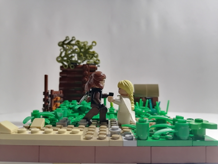 LEGO MOC - LEGO-конкурс 16x16: 'Иллюстрация' - 'Ты – нечто большее, Цири. Нечто большее.': Без обработки 