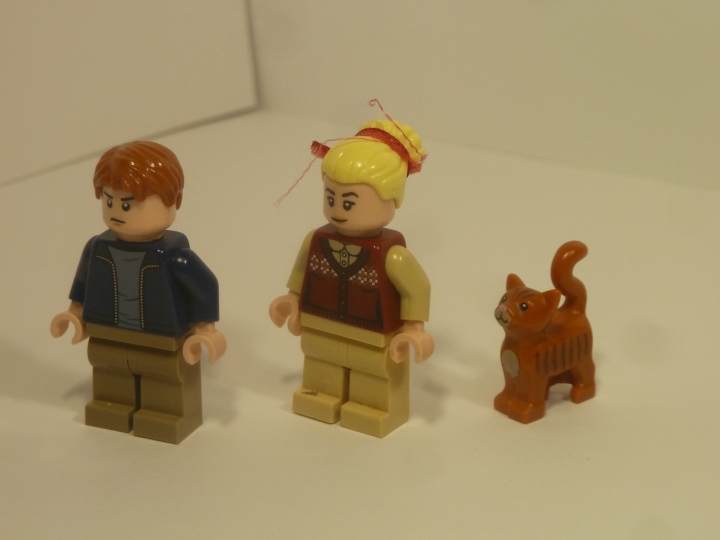 LEGO MOC - LEGO-конкурс 16x16: 'Иллюстрация' - 'Страна невыученных уроков': Персонажи этой Иллюстрация - Витя Перестукин,Люся Карандашкина и кот Кузя