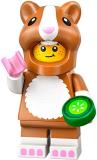 71048-hamsterfan