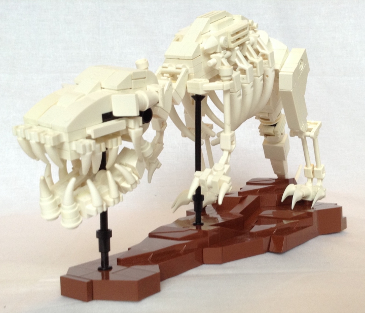 LEGO MOC - Мир Юрского периода - Новый экспонат в городском музее : Тиранозавр мог перемещаться достаточно быстро, чтобы успешно охотиться на крупных гадрозавров и цератопсов. За один укус тираннозавр мог вырвать из тела жертвы кусок мяса весом в 70 кг