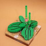 LEGO "16x16": Ботаника. Результаты конкурса
