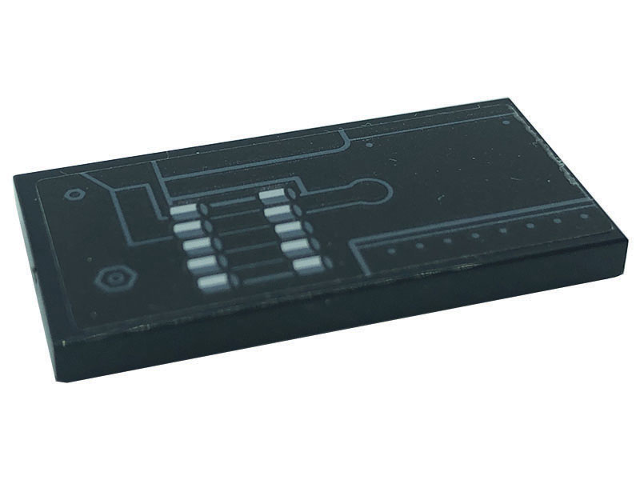 87079pb1008L